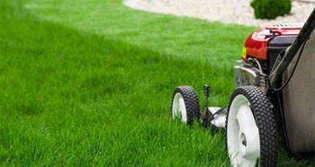 lawn mower landscaping a grass lawn